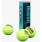 Tarro de Pelota Teloon Championship Tenis X 3